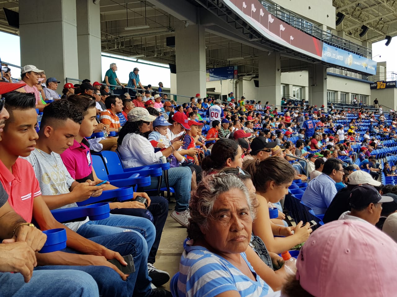 estadio